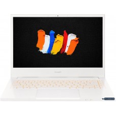 Ноутбук Acer ConceptD 3 CN314-72-74KE NX.C5SER.003